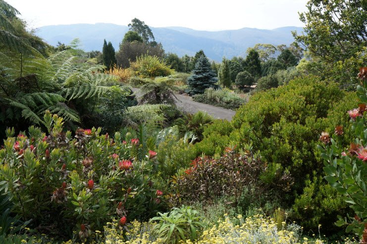 Fruit Spirit Botanical Gardens, Australia